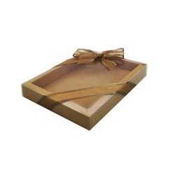 Boites trottoirs avec couvercle transparent