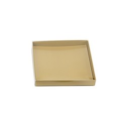 Boites trottoirs avec couvercle transparent