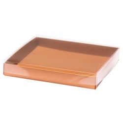 Boites trottoirs avec couvercle transparent