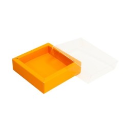 Boites trottoirs avec couvercle transparent