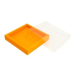 Boites trottoirs avec couvercle transparent