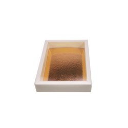 Boites trottoirs avec couvercle transparent