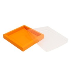 Boites trottoirs avec couvercle transparent