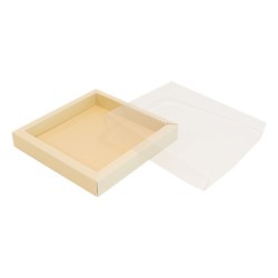 Boites trottoirs avec couvercle transparent