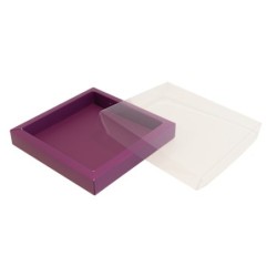 Boites trottoirs avec couvercle transparent