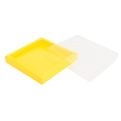 Boites trottoirs avec couvercle transparent