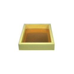 Boites trottoirs avec couvercle transparent