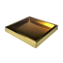 Boites trottoirs avec couvercle transparent