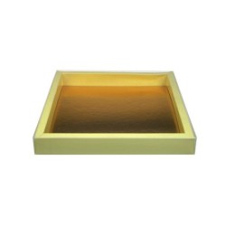 Boites trottoirs avec couvercle transparent