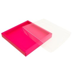 Boites trottoirs avec couvercle transparent