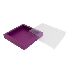 Boites trottoirs avec couvercle transparent