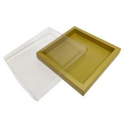 Boites trottoirs avec couvercle transparent