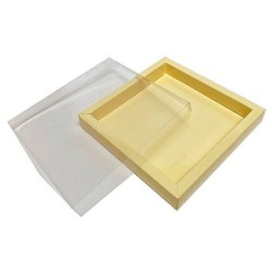 Boites trottoirs avec couvercle transparent