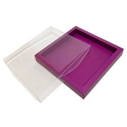 Boites trottoirs avec couvercle transparent