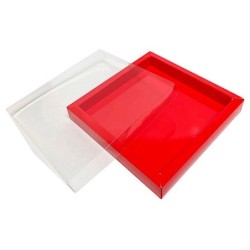 Boites trottoirs avec couvercle transparent