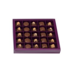 Boites trottoirs avec couvercle transparent