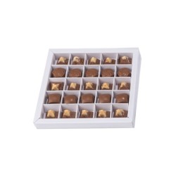 Boites trottoirs avec couvercle transparent