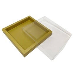 Boites trottoirs avec couvercle transparent