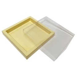 Boites trottoirs avec couvercle transparent