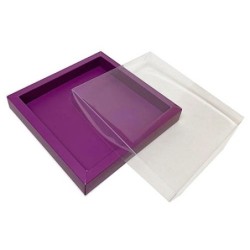 Boites trottoirs avec couvercle transparent