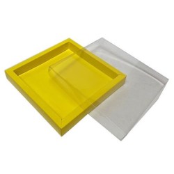 Boites trottoirs avec couvercle transparent