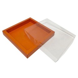 Boites trottoirs avec couvercle transparent